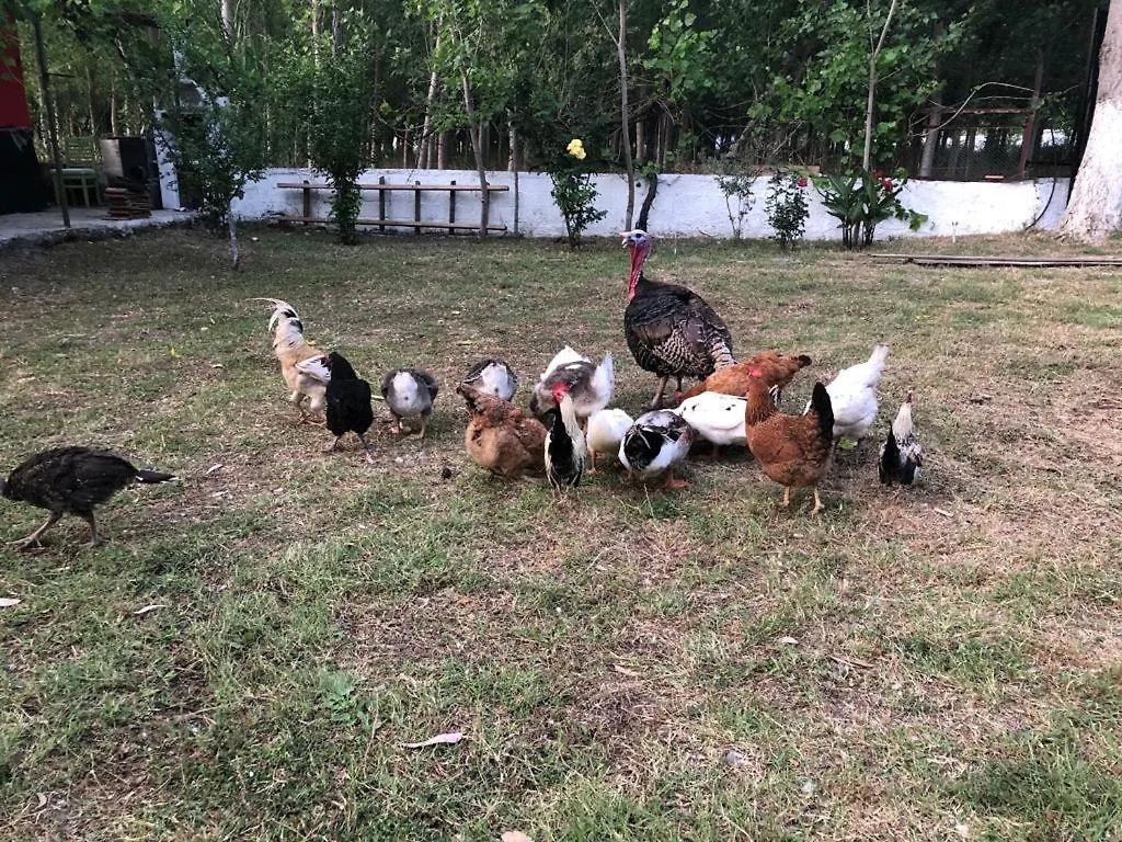 Lıkya Saklibahçe Otel Kemer  Kemer (Menekse Mahallesi)