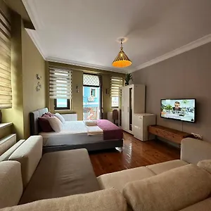 https://greenbird-suites.istanbul-turkeyhotels.com
